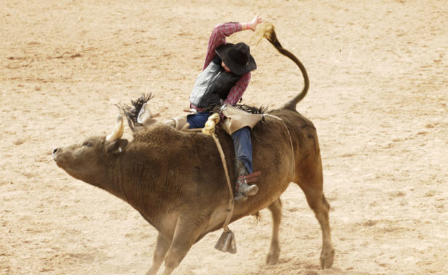 Bull Riding 2